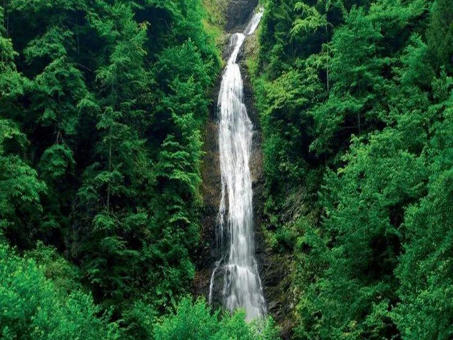 BUTİK KARADENİZ VE BATUM TURU ( 2 GECE 3 GÜNDÜZ )